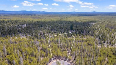 10-web-or-mls-07 - Lot line