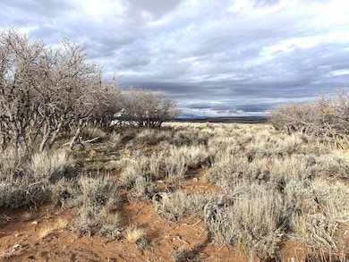 167 Gordon Reservoir, Monticello, UT 84535 - photo 4