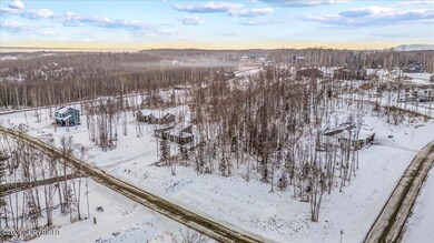 1958 Laurie Meadows Dr, Wasilla, AK 99654 - photo 4