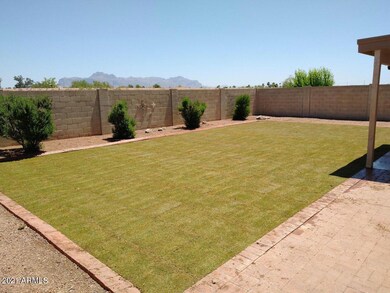 BACK OF HOME