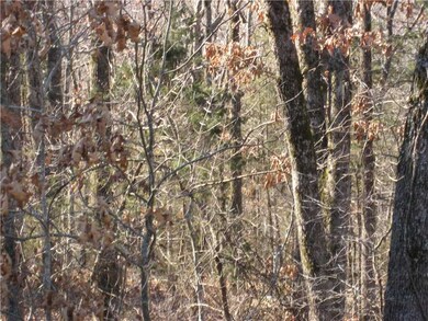 5 Ac Black Oak Rd, Fayetteville, AR 72701 - photo 2