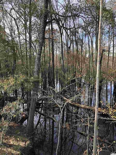 10A Bear Bluff Dr, Conway, SC 29526 - photo 6