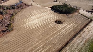TBD Shelley Ln, Nichols, SC 29581 - photo 2