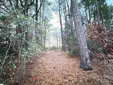 111 Hortizone Dr, Woodruff, SC 29388 - photo 2