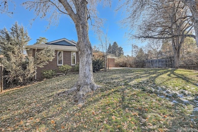 Backyard additional photo