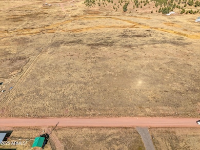 Lot 23 the Ranch at Alpine -- unit 23, Alpine, AZ 85920 - photo 3