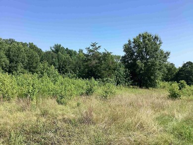 000 Hempstead 24 Rd, Blevins, AR 71825 - photo 5