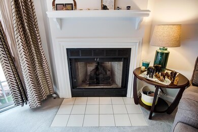 Gas fireplace