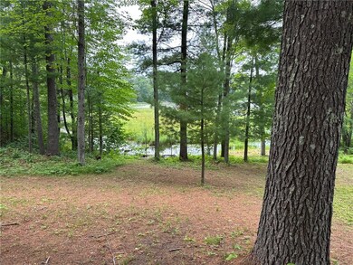 28436 King Arthurs Ct, Danbury, WI 54830 - photo 6