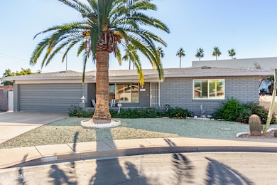 4363 E Dragoon Cir, Mesa, AZ 85206 - photo 3