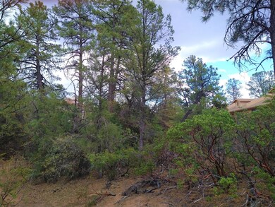 610 N Ponderosa Cir, Payson, AZ 85541 - photo 4