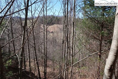 With select tree clearing you'll have a nice view