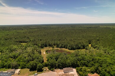 20 Acres Kingsland West of Hwy 17, Kingsland, GA 31548 - photo 5