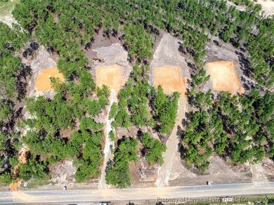 3043 Fields (Lot 2) Rd, Fayetteville, NC 28312 - photo 3