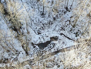 99999 Eagle Rock Ln, Egypt, NC 28714 - photo 3