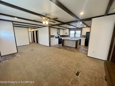 954 Hope Ave, Farmington, NM 87401 - photo 3