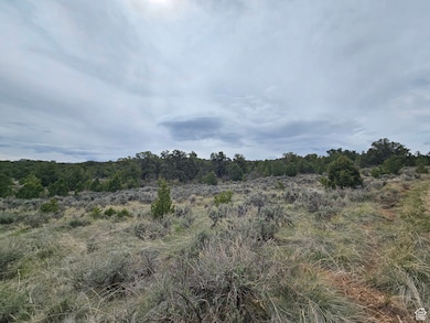 Beautiful Property Views with Trees!