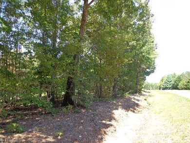 0 Picketts Mill Rd unit 772319, Seagrove, NC 27341 - photo 4