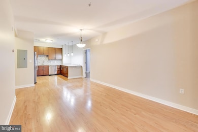 8005 13th St unit 311, Silver Spring, MD 20910 - photo 5