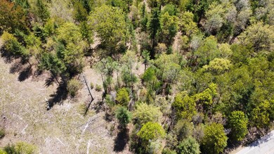 0 Red Apple Rd unit 24020764, Filer Charter Township, MI 49660 - photo 6