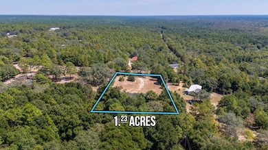 4194 Log Lake Rd, Holt, FL 32564 - photo 6