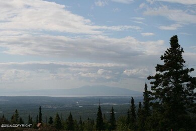 L7 B3 Sandpiper Dr, Anchorage, AK 99516 - photo 3
