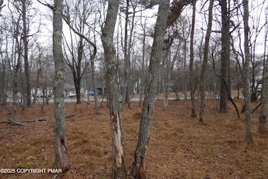 D1922 S Old Stage Rd, Penn Forest Township, PA 18210 - photo 7