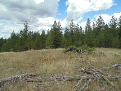 00 E Robin Lane Lot 4 Ln, Chattaroy, WA 99003 - photo 6