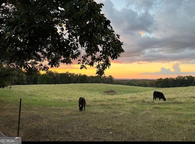 185 Talon Dr SE, Rydal, GA 30171 - photo 2