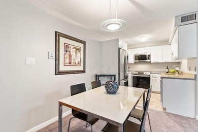 23 Elm St unit 304, Somerville, MA 02143 - photo 4