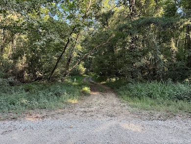 000 Pleasant Ridge Rd, Hickory, MS 39332 - photo 3