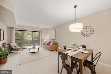 The Astoria unit 112, Arlington, VA 22201 - photo 6