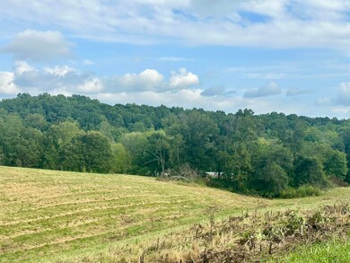 Tract 1 Pittsburg Landing Rd, London, KY 40741 - photo 6