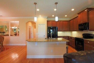 2505 Sapphire Greens Ln unit 33, Sun City Center, FL 33573 - photo 6