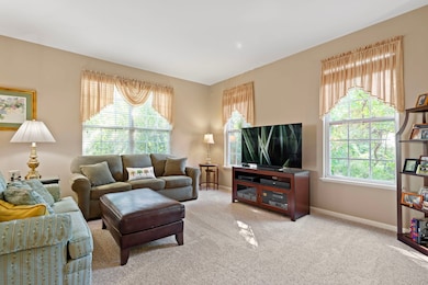 161 Patrick Ave unit 1803E, Willow Springs, IL 60480 - photo 3