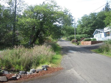 Looking north on Old Netarts Road