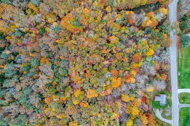 DJI_0186