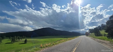 0 Lot 9 10 & 11 Deer Trail Rd unit REC5141186, Idaho Springs, CO 80452 - photo 4
