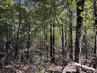 0 Bethuel Rd unit Lot 3, Unincorporated, TN 38053 - photo 5