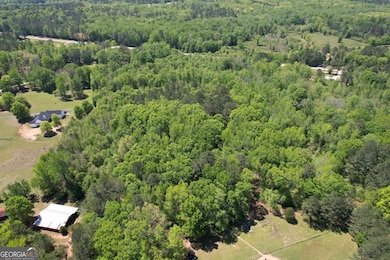 2310 Hollonville Rd, Williamson, GA 30292 - photo 7