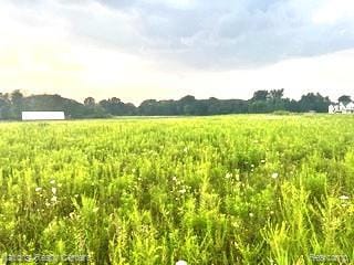 00 W Vogt Rd, Conway Township, MI 48836 - photo 6