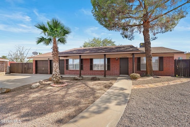 26-web-or-mls-IMG_6787