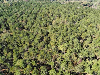 781 Sand Country Rd, Jefferson, TX 75657 - photo 4