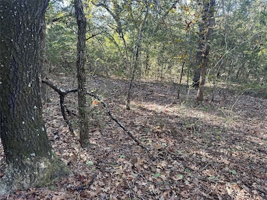 TR 2 Cr 219, Buffalo, TX 75831 - photo 3