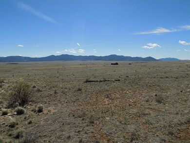 2703 Rhyolite Dr, Como, CO 80432 - photo 6