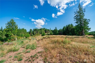 0 Lot 8 S Silver Lake Rd, Castle Rock, WA 98611 - photo 2