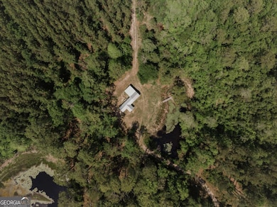 0 Dm Tillman, Baxley, GA 31513 - photo 2