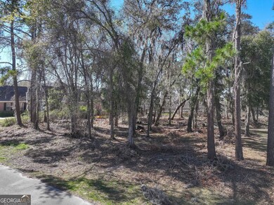 0 Riverview Dr W unit 10523000, St. Marys, GA 31558 - photo 7