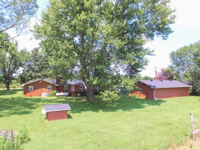 View of the back yard
