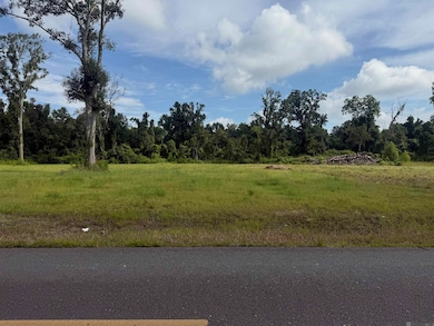 38354 N Robert Wilson Rd, Gonzales, LA 70737 - photo 3